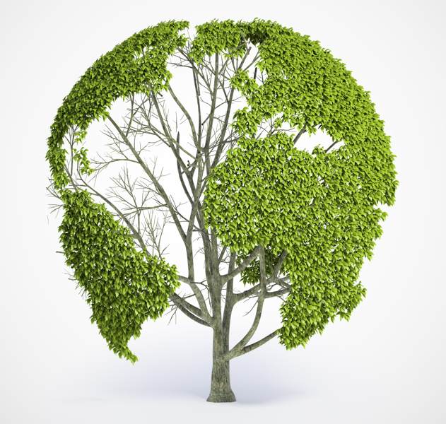 ISO14001 environmental tree